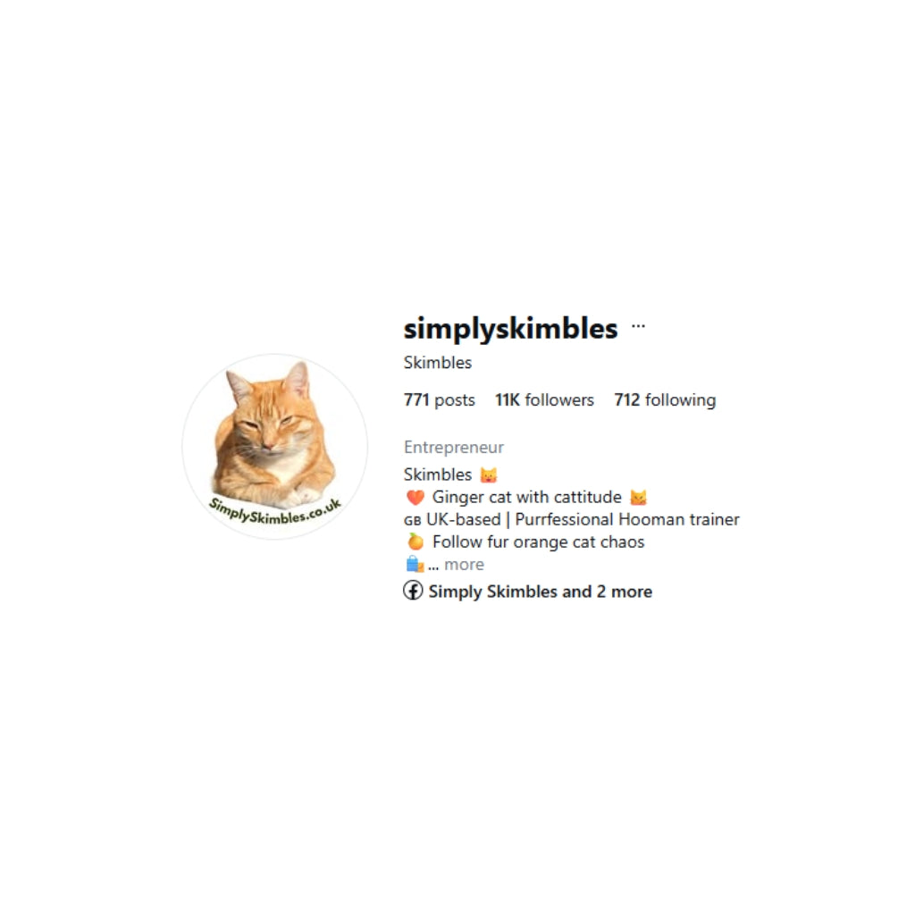 Simply Skimbles Plush