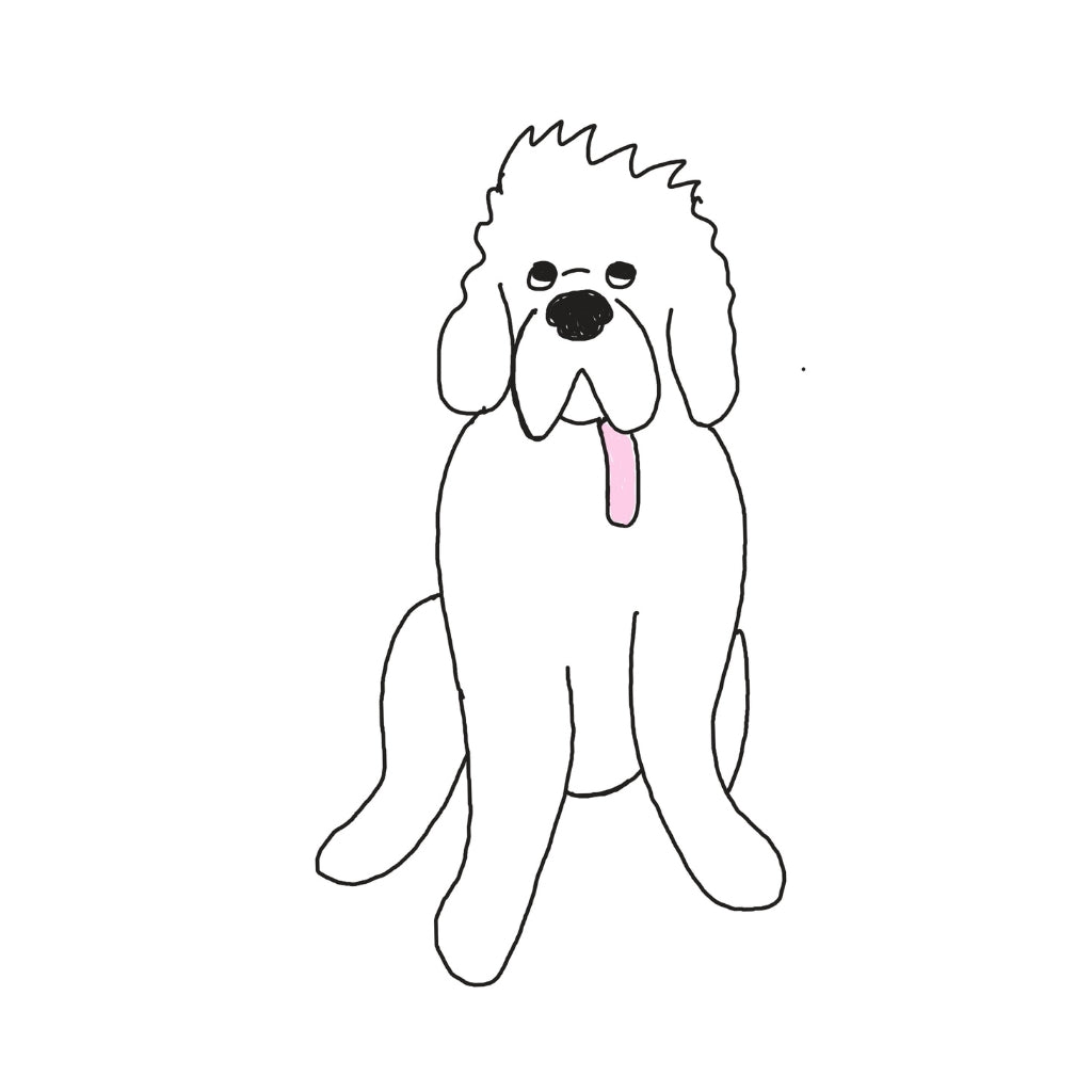 Sirius Newfoundland Plush