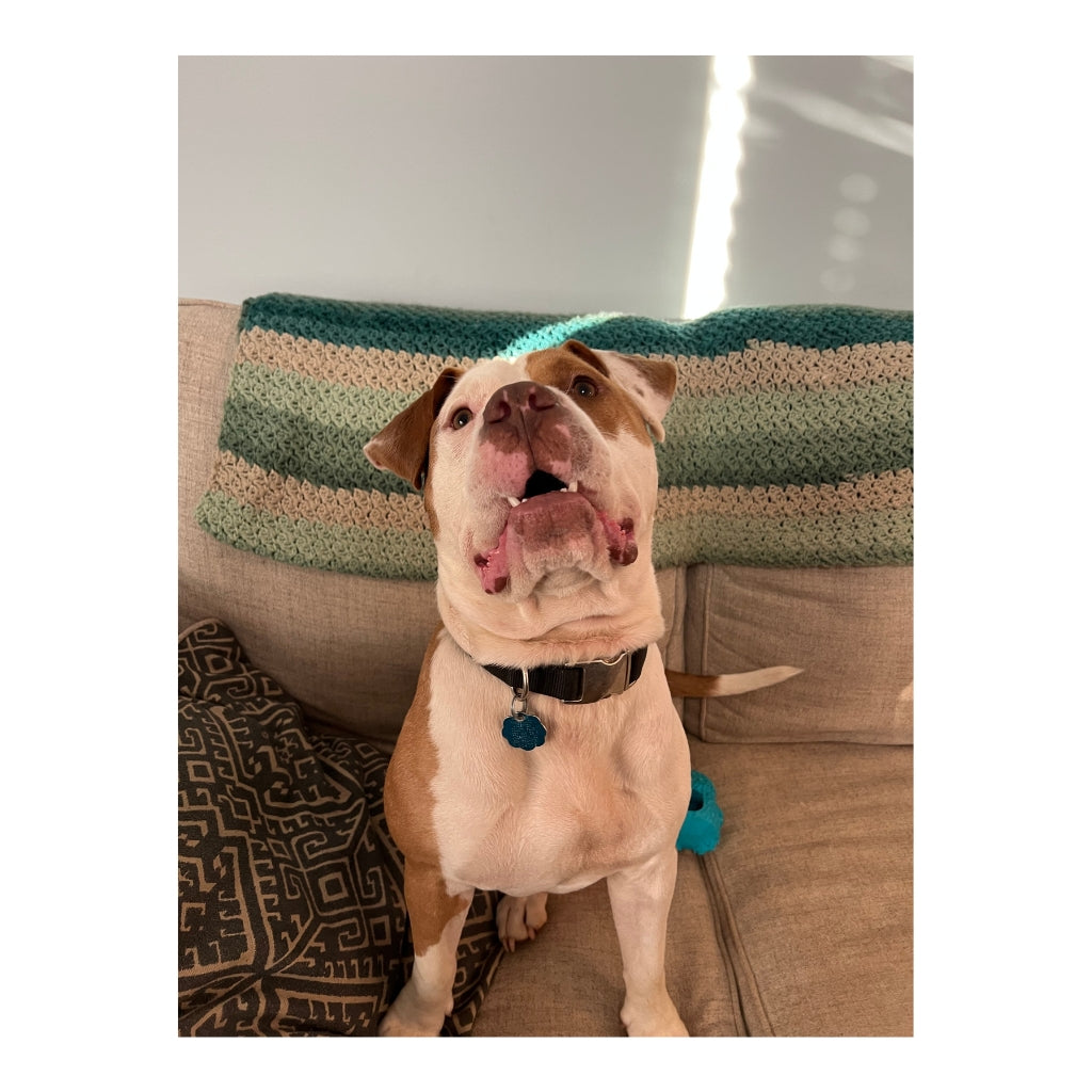 Spud Plush