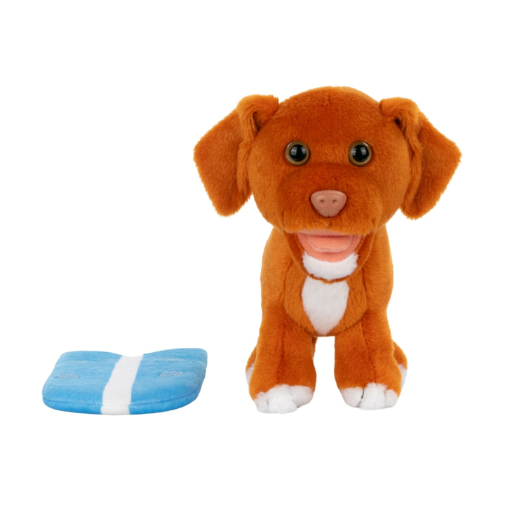 Surfing Toller Plushie