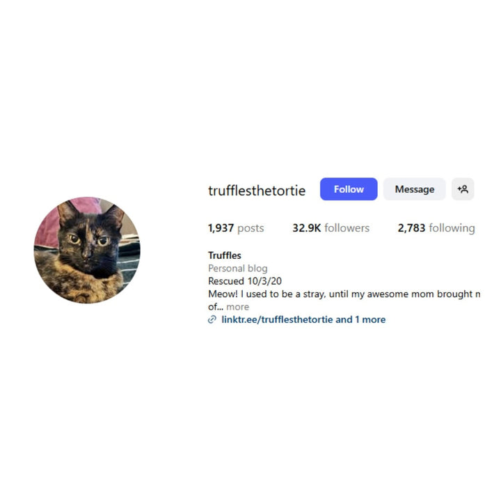 Truffles the Tortie Plushie