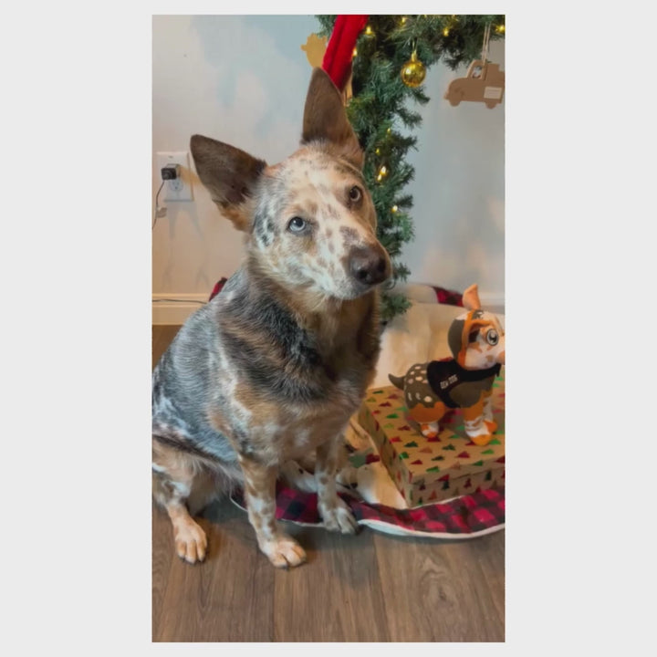 Rhett the Heeler Plush