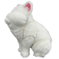 Moet The Blind Cat Plush